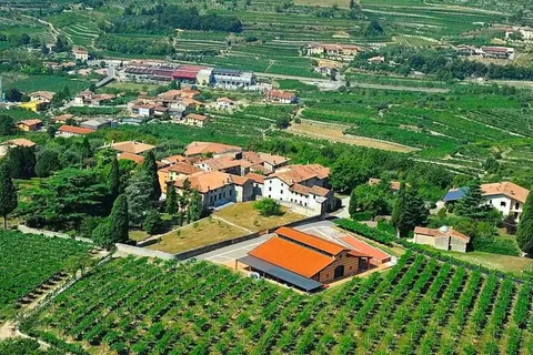 CLEMENTI - Vini della Valpolicella Classica